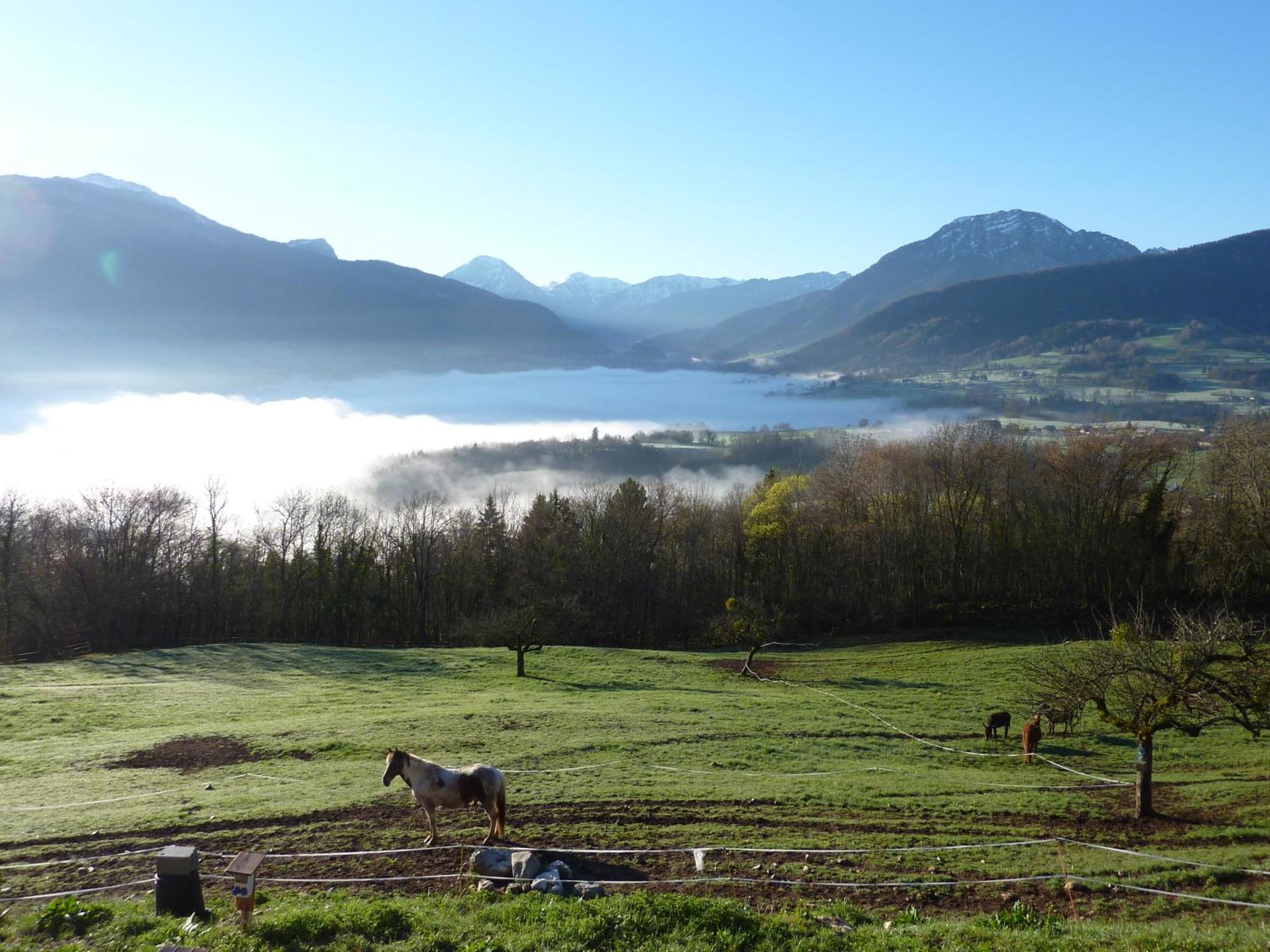 Les Esseroliettes Nature & Spa Arith Esterno foto